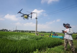 无人机直播水稻施肥技巧,无人机水稻施肥视频