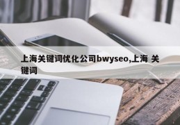 上海关键词优化公司bwyseo,上海 关键词