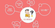 seo关键词推广,seo关键词推广平台哪个好