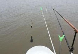 钓鱼大师技巧直播,钓鱼大师技巧直播在哪看