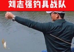刘志强直播钓鱼技巧的简单介绍