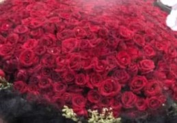 直播卖玫瑰花的技巧视频,直播卖花怎么开始话术