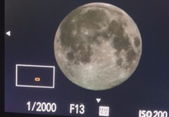 关于月亮直播技巧教程的信息