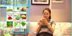 短视频拍摄付费教学指南，了解短视频拍摄收费情况