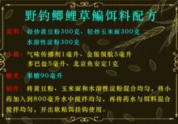 钓鱼技巧直播教程,钓鱼技巧直播教程下载