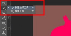 怎么拍摄换背景视频教程