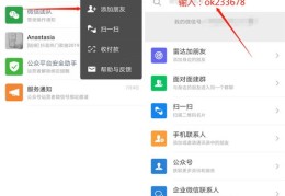 抖音无法热门问题解决方案，申诉流程与退款指南