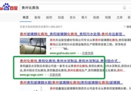 贵州百度关键词优化系统,贵州百度seo