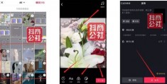 一片花怎么拍摄视频教程 VS 一周年转场拍摄教程怎么做