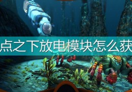 繁星直播打企鹅技巧与PK惩罚方式揭秘