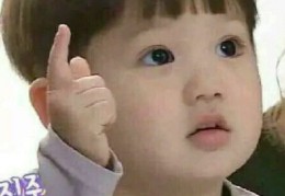 表情图片下载攻略，轻松获取热门表情图片