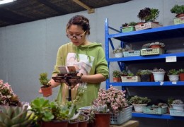 鲜花直播间卖货技巧,直播卖花怎么开始话术
