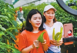 农民直播技巧,农民直播给农民带来什么影响