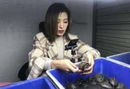 传统养殖直播技巧,传统养殖直播技巧有哪些
