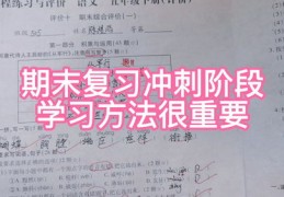 期末答题技巧直播,期末考试的题怎么做