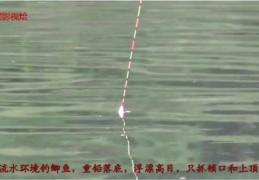 流水钓鱼技巧直播分享，流水钓鱼秘籍