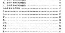 怎么拍摄视频教程美术教案