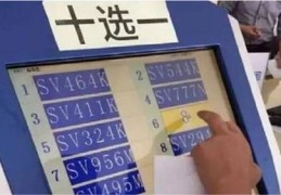 车牌选号技巧详解，直播视频教程分享