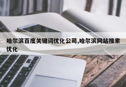 哈尔滨百度关键词优化公司,哈尔滨网站搜索优化