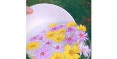 一片花怎么拍摄的视频教程 VS 怎么拍摄熊二声音视频教程