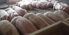 打圈圈怎么拍摄视频教程