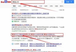 青海百度seo关键词优化,青海seo技术培训