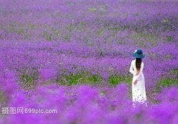 花海唱歌技巧直播,花海教唱视频