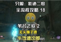 只狼技巧与直播探讨，游戏实况能否展现最佳操作？