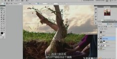 怎么拍摄柳条视频教程下载