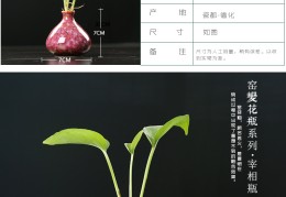 花瓶直播技巧大全,花瓶展示
