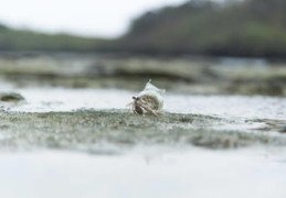 作品如何成功上热门指南，秘诀与技巧揭秘