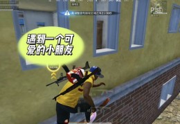 游戏幽默直播技巧,游戏幽默直播技巧大全