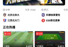 006足球直播技巧,006足球直播56