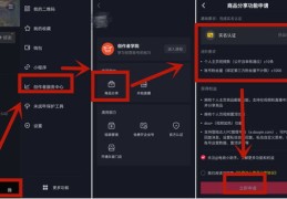 抖音上热门攻略，如何增加关注度与提升热门机会？