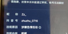 揭秘视频热门秘诀，如何发布高质量内容吸引粉丝增长