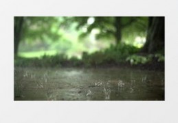 怎么创造人工雨拍摄视频教程 VS 一粒米怎么拍摄的视频教程