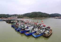 洞头县百度关键词优化排名,洞头区新闻网