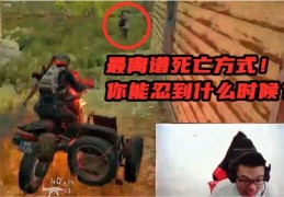大司马直播吃鸡技巧,大司马直播名场面