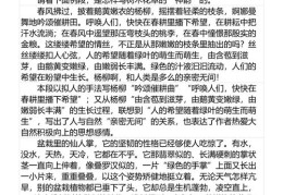 小学作文技巧与讲座视频直播解析