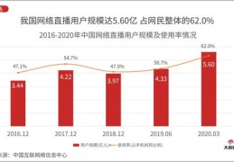 网络直播带货技巧，提升销量的实战应用与策略