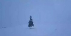 怎么拍摄下雪天视频教程