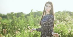 怎么拍摄花丛视频教程全集