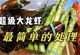 小龙虾直播技巧与烹饪分享视频，小龙虾精彩视屏揭秘