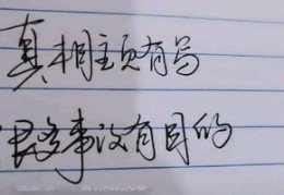 写字直播玩法技巧,写字直播平台