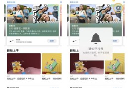 购物直播玩法技巧详解，攻略与技巧一网打尽！