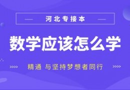 数学算数技巧直播平台,数学直播软件什么最好