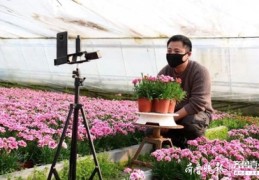直播卖花技巧,直播卖花怎么开始话术