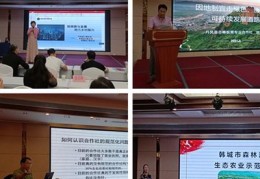 直播发言技巧,直播怎么讲话幽默
