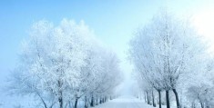 雪景怎么拍摄宣传视频教程
