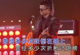 直播演唱与互动技巧，新人快速融入直播互动之道